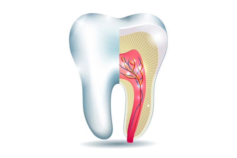 o que é endodontia e como funciona